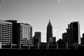 Noir City 11x14